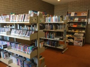 Public Library 1
