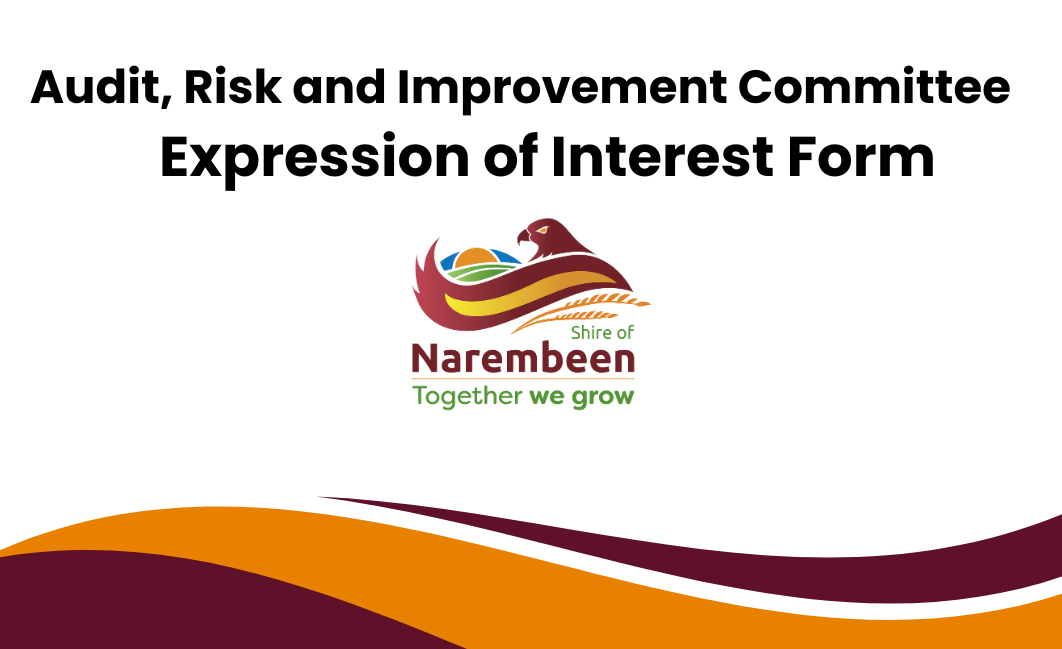 Audit, Risk and Improvement Committee