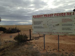 Rabbit Proof Fence